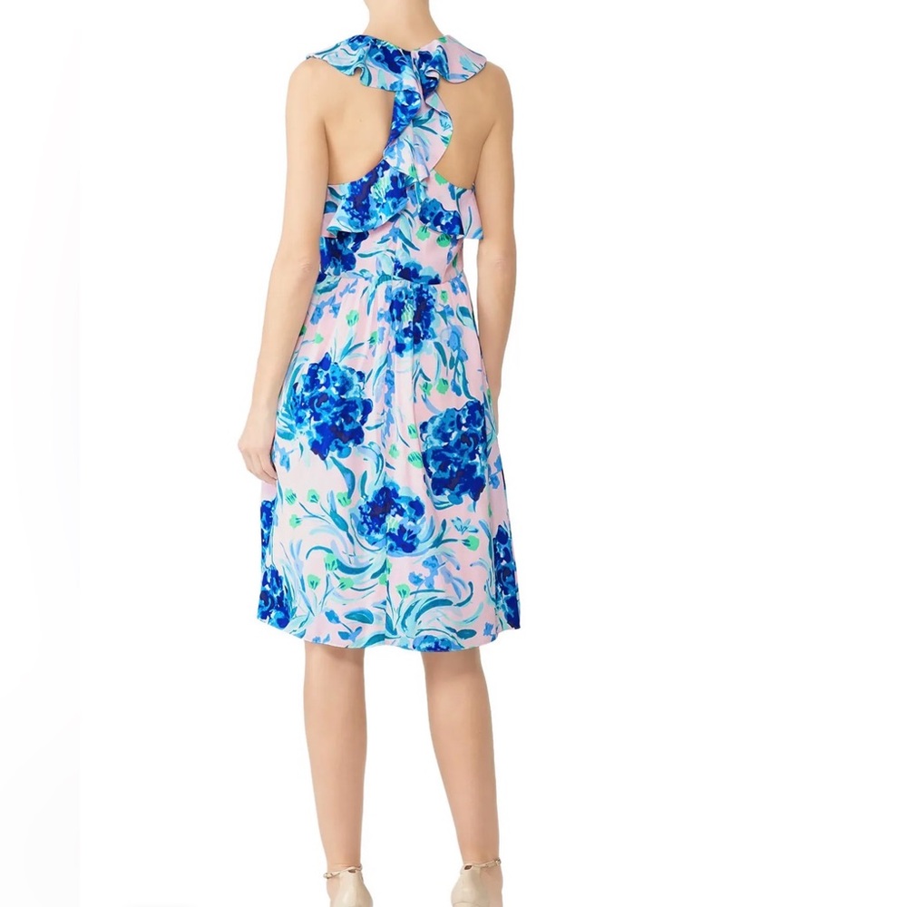 Lilly Pulitzer Rory Dress - Picture 4 of 12